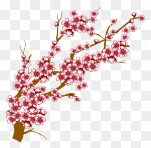 Japanese Flowering Cherry Transparent Background - Cherry Blossom Tree Branch Drawing