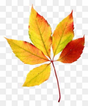 Leaves Halloween Clip Art - Fall Leaf Clip Art