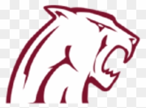 Concord Mountain Lions