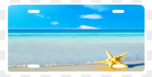 Starfish On Beach - Summer Beach