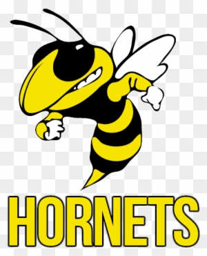 Mascot Hornets Team Varsity 2017 18 Colors Gold, White - T. L. Hanna High School
