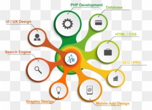 We Are The Best In Website Development And The Reasons - Custom Software Development Infographic