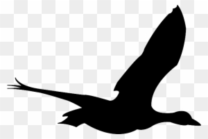 Silhouette Black, Simple, Outline, Drawing, Sketch, - Clip Art Flying Bird