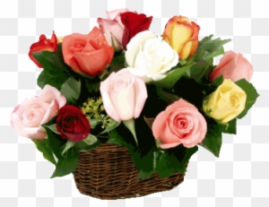 Fleurs Eclat Ornement Flowers Tubes Bouquets Wall Iris Free Transparent Png Clipart Images Download Fleurs Eclat Ornement Flowers Tubes Bouquets Wall Iris Free Transparent Png Clipart Images Download
