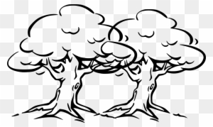 Tree Cartoon Black And White - Outline Drawing Banyan Tree - Free  Transparent PNG Clipart Images Download