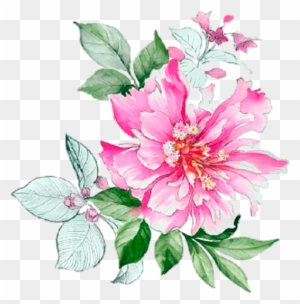 Flower Prints - Watercolor Peony Flower Design Chinese New Year