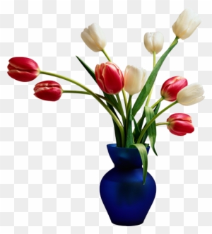 Flowers In Vase White And Red Colour Tulips With Leaves - Beautiful Home On A Budget