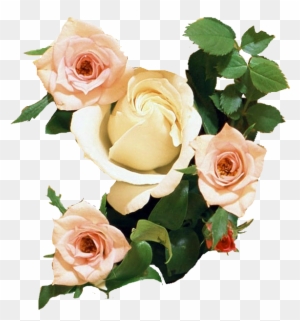 Rosa De Papel Tapiz De Desktop De Ramo De Flores De - Wedding Anniversary Wishes With Flowers