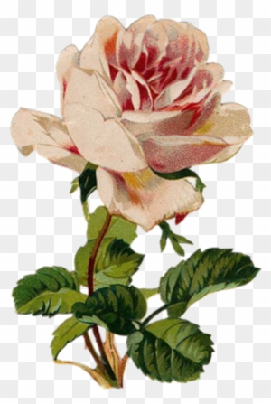 Garden Roses Health Flower Healing - Eiffel Tower Necklace Paris Pendant Birthstone Jewelry