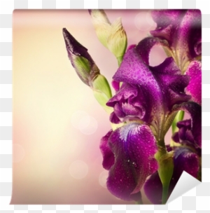 Iris Flowers Art Design - Quran
