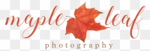 Maple Leaf Photography - Photographer