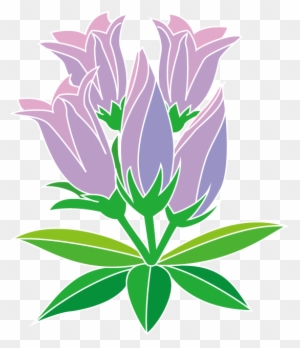 コスモスの花のコーナーイラスト Illustration Free Transparent Png Clipart Images Download