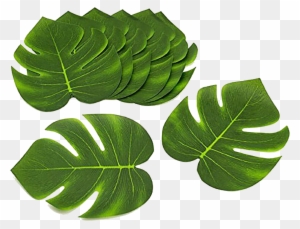 Green Leaves Png Background Clipart - Tropical Themed Party