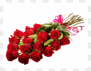 Long Stemmed Red Roses Bouquet - Garden Roses