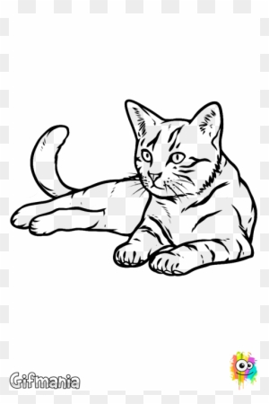 Gato Realista - Drawing Of Cat - Free Transparent PNG Clipart Images  Download