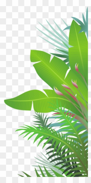 Png Jungle Leaf Transparent Jungle Leaf - Jungle Leaves Png - Free
