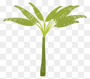 Mb Image/png - T Shaped Palm Tree