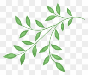 0 1808fb Af12a927 L - Branch And Leaves Clipart