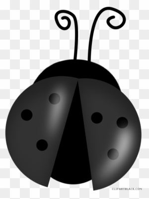 Cartoon Ladybug Animal Free Black White Clipart Images - Ladybug Clip Arts
