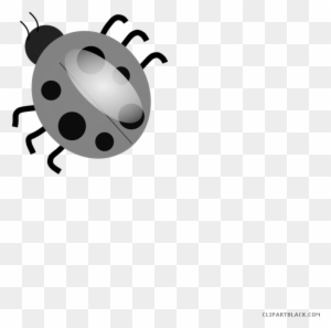 Cartoon Ladybug Animal Free Black White Clipart Images - Many Legs Does A Ladybug Have