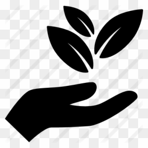 Hand Holding Leaves - Nature Icon Png