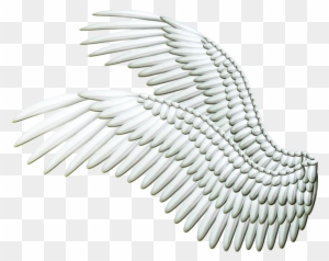 Angel Wings - Angel Wings Side View Angel Wings - Angel Wings Side View