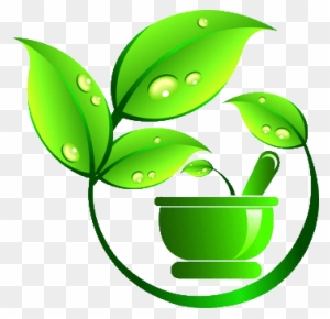 pretty plant clip art middle path webshop natural health ayurveda symbol png free transparent png clipart images download pretty plant clip art middle path