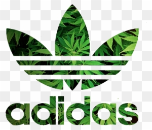 Transparent Adidas Logo Png Images Roblox Adidas T Shirt Png Free Transparent Png Clipart Images Download - free t shirt in roblox adidas