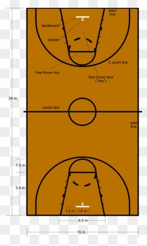 Basketball Court Dimensions Nz