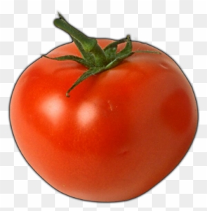 Click Here To See Tomato Album - Man Who Can T Visualize A Horse Galloping On A Tomato