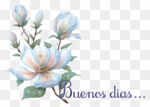 Fondos Para Ti - - - - - - - - - Buenos Dias Con Flores Blancas - Free Transparent PNG Clipart Images Download Fondos Para Ti - - - - - - - - - Buenos Dias Con Flores Blancas - Free Transparent PNG Clipart Images Download