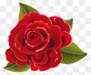 Rose Images, Paint Flowers, Red Roses, Beautiful Flowers, - Rosas Y Flores Animadas