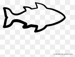 Bass Fish Animal Free Black White Clipart Images Clipartblack - Outline Of A Fish