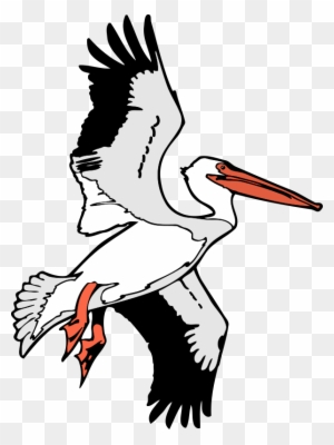 Bird 53 Free Vector / 4vector - Flying Pelican Clip Art - Free Transparent PNG Clipart Images Download Bird 53 Free Vector / 4vector - Flying Pelican Clip Art - Free Transparent PNG Clipart Images Download