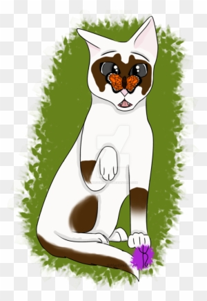 Banditshade Full Body {request} By Mactireban92 - Drawing