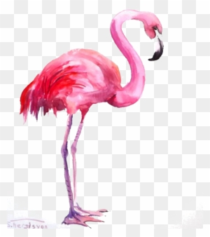 Flamingo Watercolor Painting - Flamingo Watercolor