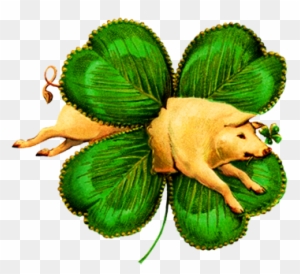A Pig For Luck And A St - St Patrick's Day Vintage
