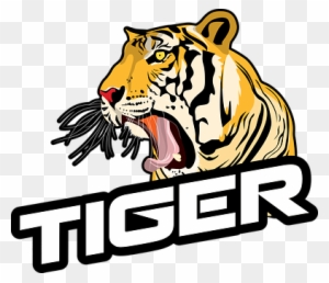 Tiger Roaring Animal Nature Wildcat Jungle - Tiger Roar Png