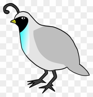 Quail Clipart, Transparent PNG Clipart Images Free Download - ClipartMax Quail Clipart, Transparent PNG Clipart Images Free Download - ClipartMax