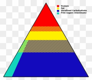 A "simplified" Representation Of The "food Pyramid" - Do Lipids Relate To The Food Pyramid