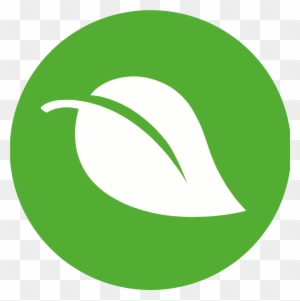 Organic And Natural Products - Surveillance Camera Icon