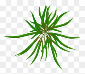 Sea Grass Clipart Animated Gif - Moving Animations Of Plants - Free  Transparent PNG Clipart Images Download