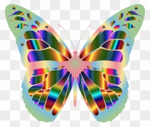 Monarch Butterfly 17 - Fivela De Cinto Abstrata Luxe De Rect Da Borboleta