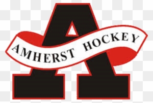 Amherst Knights Logo - Amherst Youth Hockey