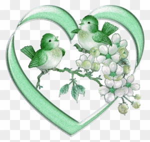 A Isolated Green Lovebird Stock Illustration - Good Evening Love Birds