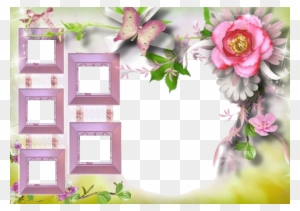 Collage Photo Frame - Collage - Free Transparent PNG Clipart Images ...