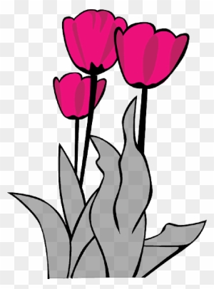 Tulips, Flower, Flowers, Cartoon, Spring, Free - Spring Clip Art Flower