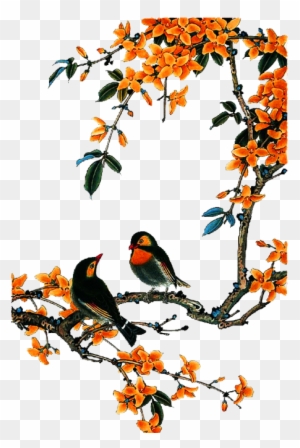 Bird And Flower Painting Chinese Painting China Central - China Bird Tree Painting