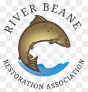 River Beane - Pull Fish Out Of Water