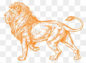 Mammal Clipart Name - Lion Full Body Drawing